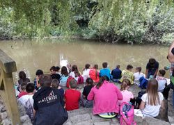 Postumia 12