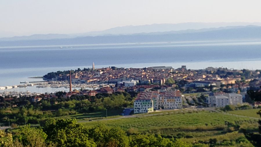 isola preside