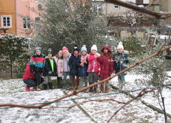 neve prima 3