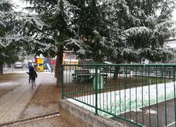 neve seconda 4