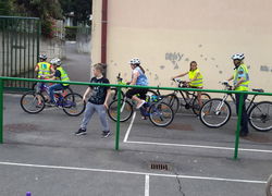 Patentino 8