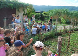 La nostra vendemmia 3