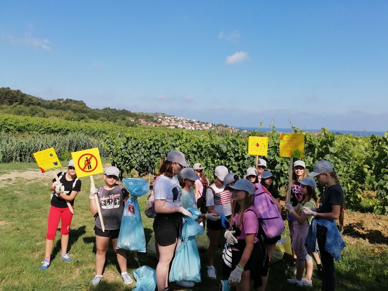 Giornata ecologica