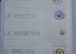 Akeksandra 16