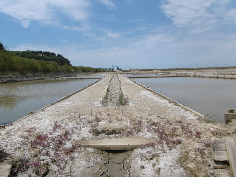Saline Strugnano