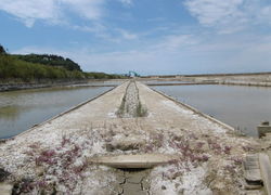 Saline 6