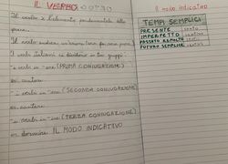 Virna 12