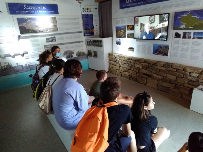 Giornata scientifica – Le piante che ci circondano
