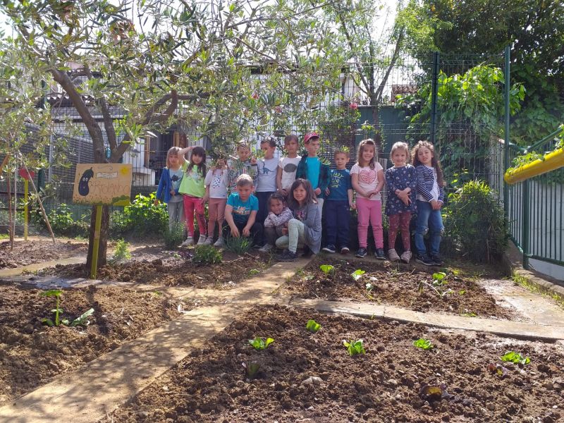 L’orto scolastico