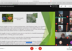 Incontro online 16