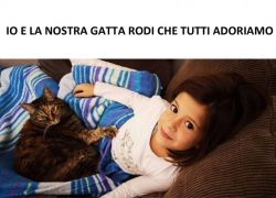 Don dodo 8