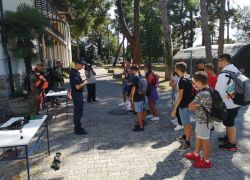 Museo Pivka 5