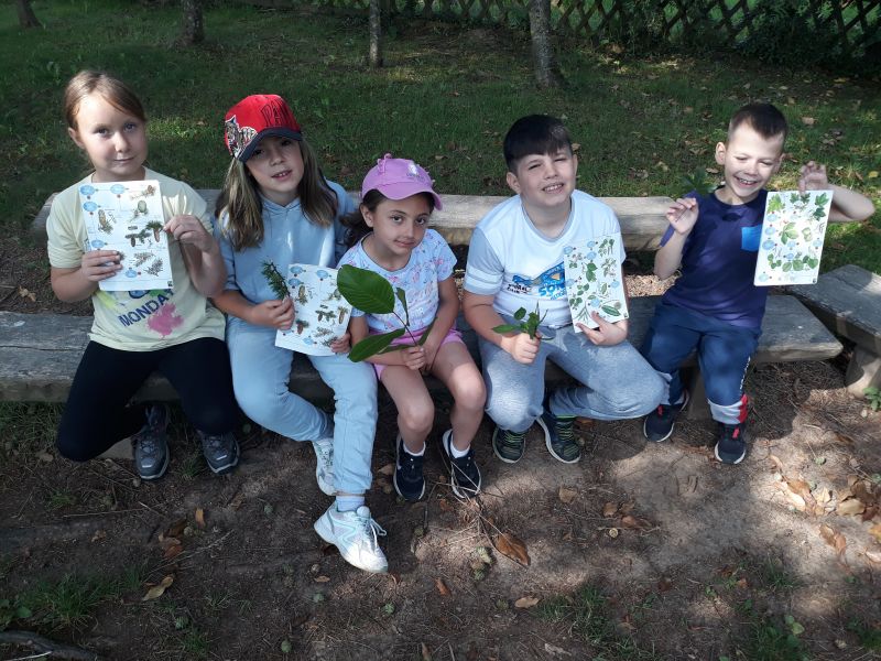 Diario della scuola in natura a Črmošnjice 2