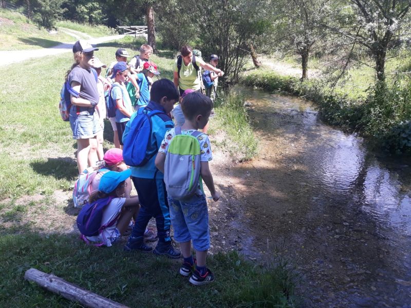 Diario della scuola in natura a Črmošnjice