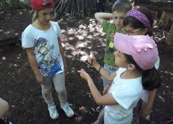 3 Campo scuola 6
