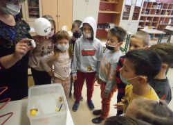 scienziati continua 4