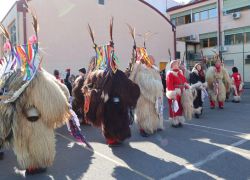 carnevale 7