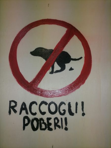 Raccogliamo gli escrementi dei cani