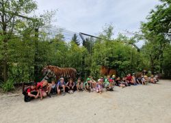 zoo 2