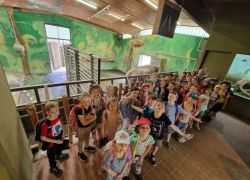 zoo 4
