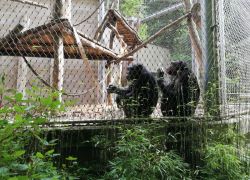 zoo 5