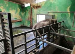 zoo 7