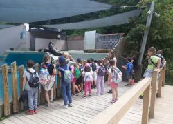 zoo 8