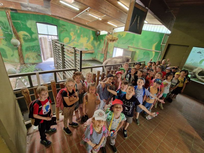 Tutti allo zoo!