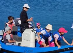 Barca a vela 1