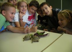 piccoli scienziati crescono 1