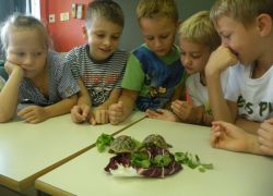 piccoli scienziati crescono 2