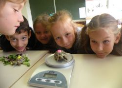 piccoli scienziati crescono 3