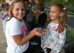 piccoli scienziati crescono 7