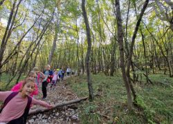 Camminata sul Monte Cocusso 8