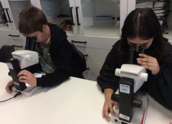 Notte da scienziati 5