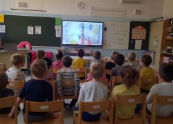 il mondo delle api 5