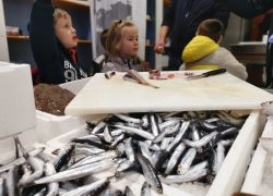 Salute alla scuola materna 5