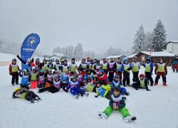 Forni 3
