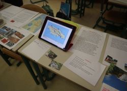 expo 6