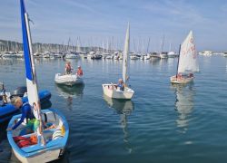 barca a vela 1