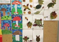mostra dautunno 5