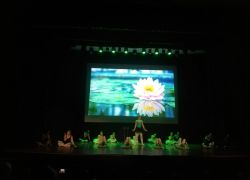Danza classica 5