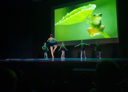 Danza classica 8