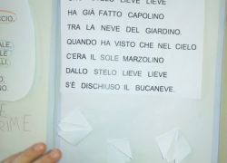 Bucaneve 4