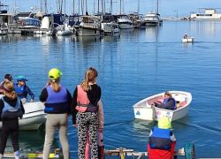 IMG vela2