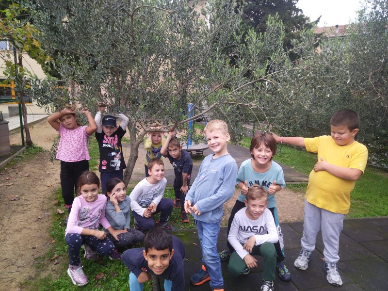 Gli alberi da frutto nel nostro cortile scolastico: un patrimonio di natura e educazione