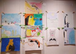 animali IMG 20241004 175426