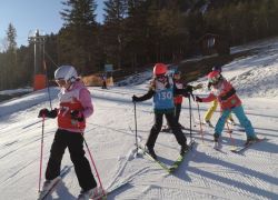 forni5