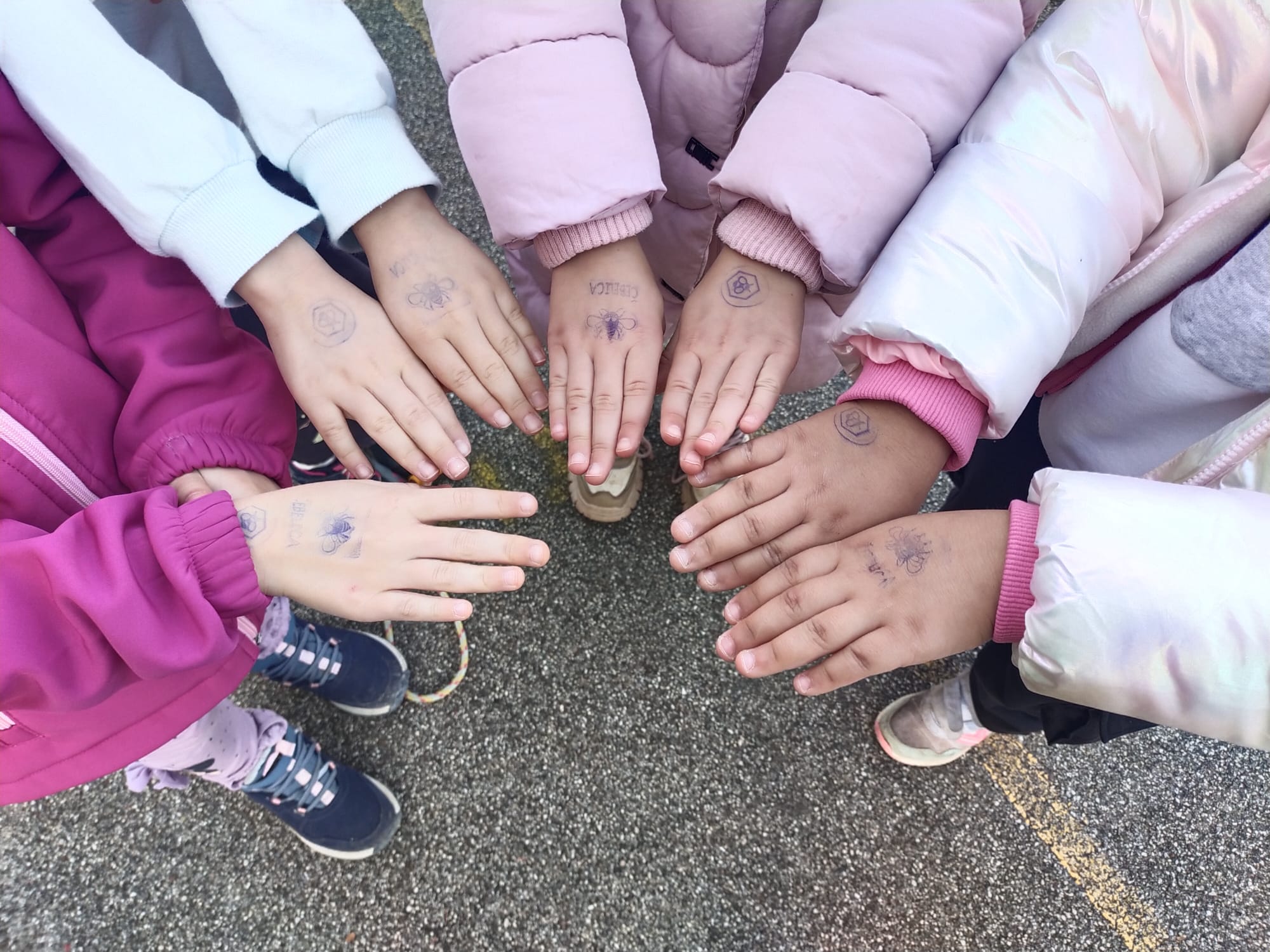 Diario della scuola in natura 3 – Dom Čebelica