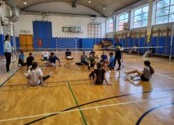 vbs7
